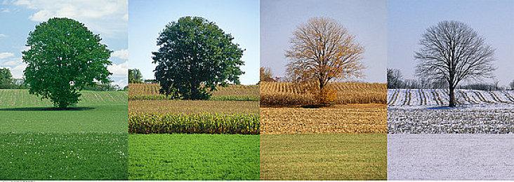 3D平台动作冒险《Boti》公布 2023年登陆Steam